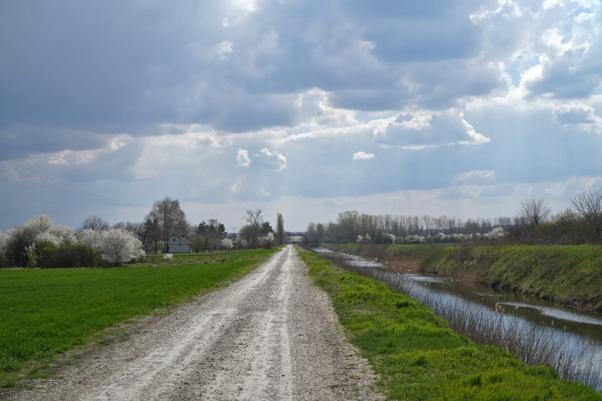 A gravel road leads through the landscape on the way from Pančevo to Smederevo, along the EV-6 route. On the left side, a field and blooming trees, on the right side, a canal and green grass under a dramatic sky.