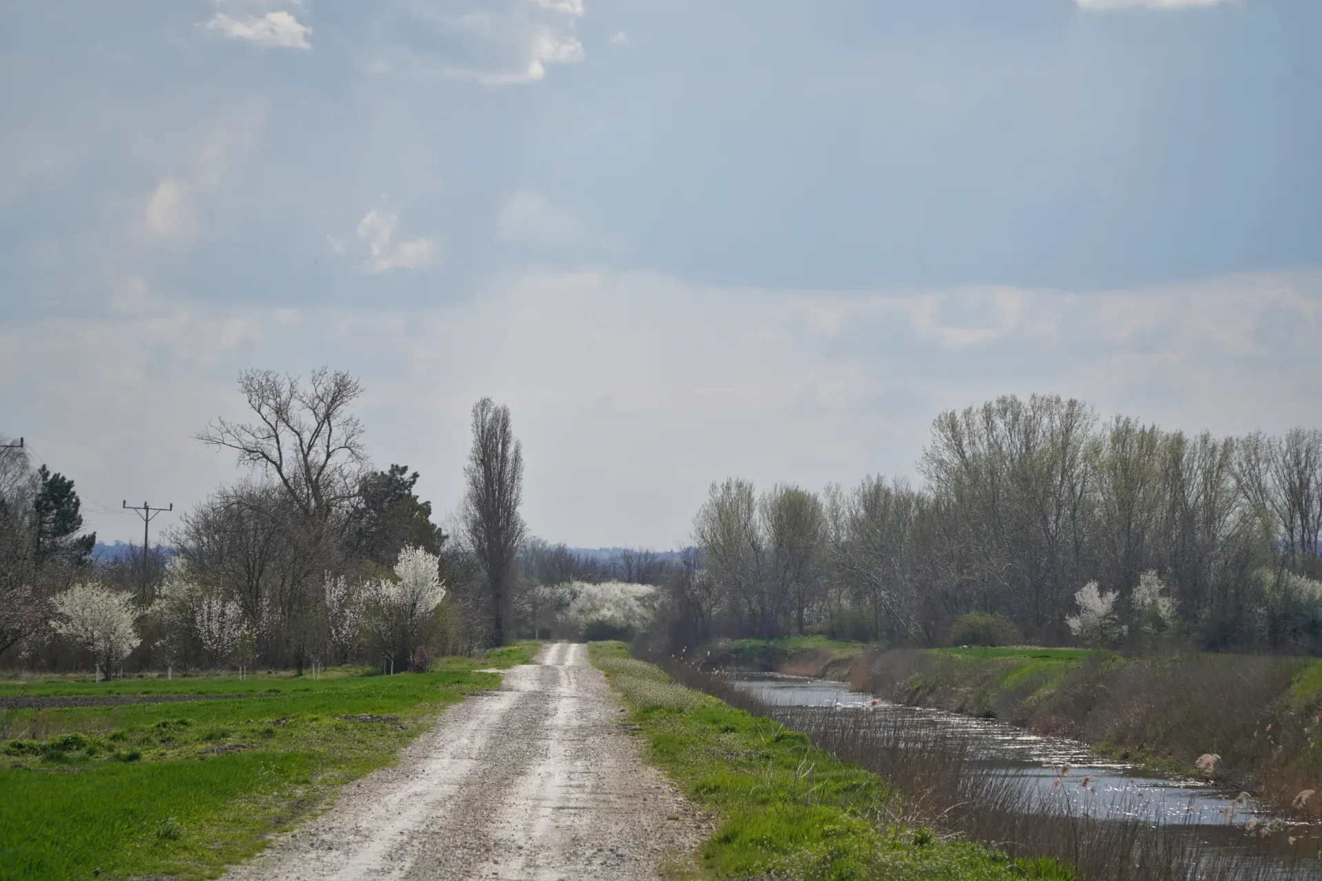 A winding gravel road leads through a rural landscape in Serbia, with blooming fruit trees on both sides and a canal on the right.