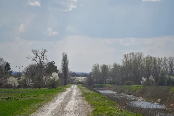 A winding gravel road leads through a rural landscape in Serbia, with blooming fruit trees on both sides and a canal on the right.