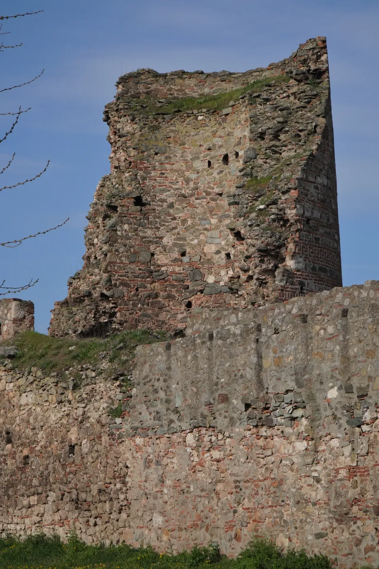 Torre de piedra desmoronada y muros de la Fortaleza de Smederevo, cubiertos de hierba, bajo un cielo azul.