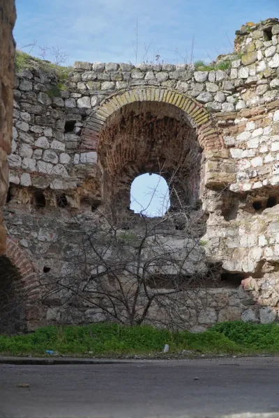 Ancient stone walls of Smederevo Fortress with an open arched window showing the sky, and a bare tree growing in front of it.