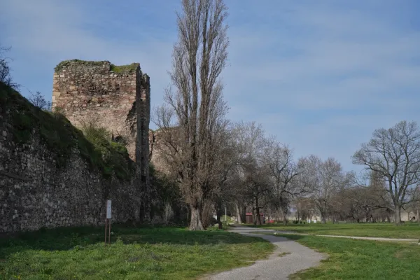 Historic stone walls and ruins of Smederevo Fortress in Serbia, with a tall, bare tree and a gravel path on a green meadow.