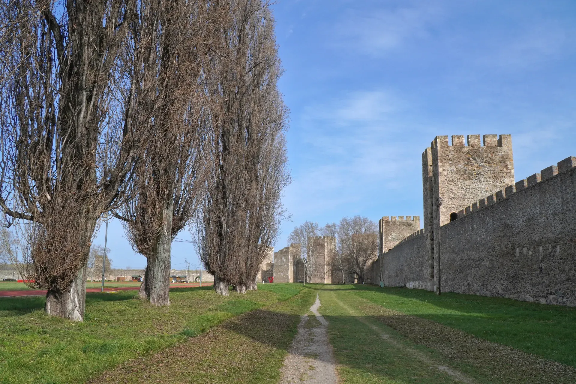 Un sentiero conduce attraverso erba verde alle mura di pietra della Fortezza di Smederevo in Serbia, con una fila di alberi alti e spogli sulla sinistra sotto un cielo azzurro limpido.