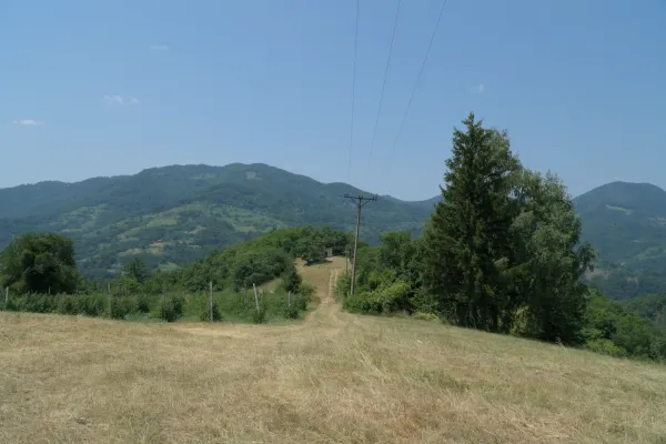 A hilly landscape with green forests and meadows near Bajina Bašta in Tara National Park, Serbia, under a clear blue sky. A dirt road leads uphill towards a small building, and power lines traverse the scene.