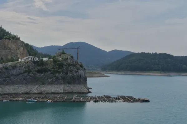 A wide view of Zaovine Lake in Serbia, with a series of fish farms in the water and a crane and buildings on a rocky cliff in the background, surrounded by gentle, forested hills.
