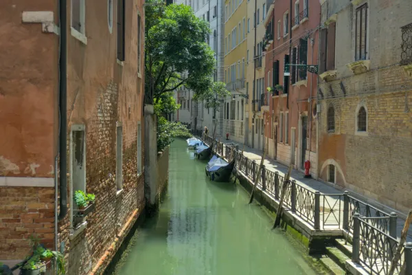 Drei Gondeln sind in einem smaragdgrünen Kanal in Venedig vertäut, umgeben von alten Gebäuden und üppigem Grün.