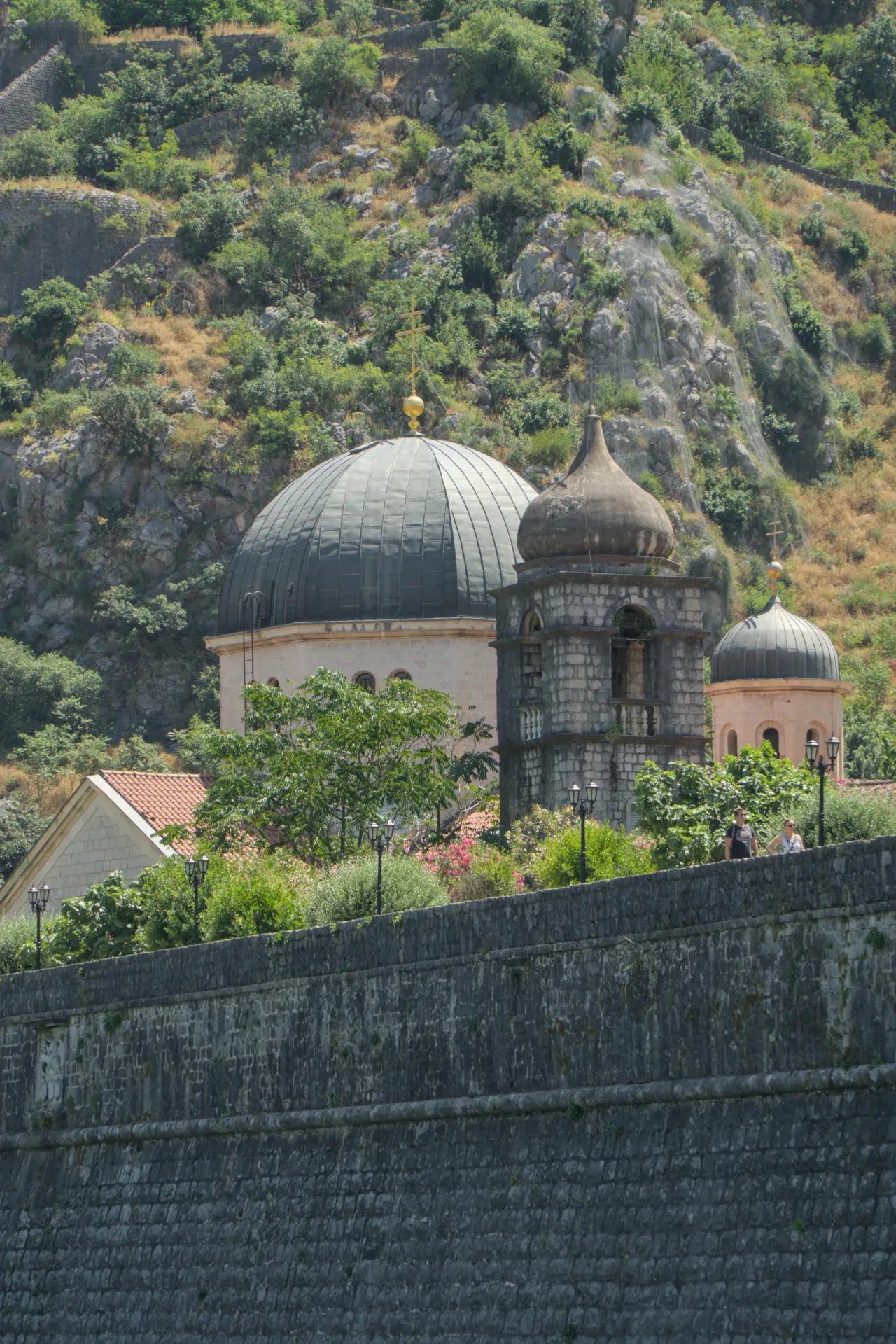 Portrait view of the old town walls and church domes of Kotor, Montenegro, against a lush mountain backdrop.