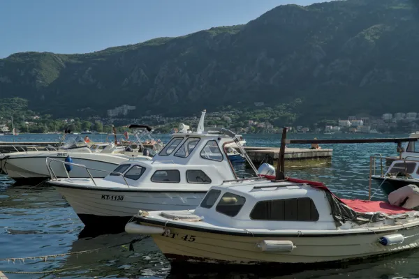Several white boats rest in the sunny port of Kotor, Montenegro, against a mountainous landscape.