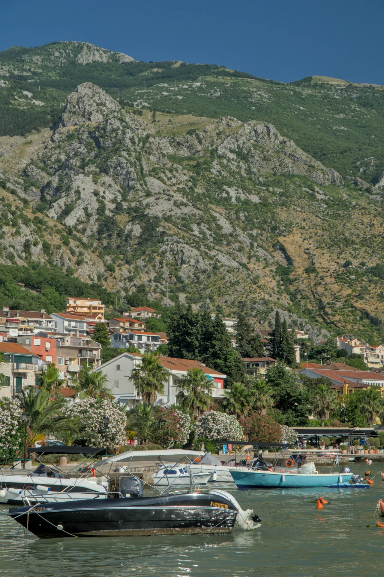 Bay of Kotor, Montenegro, with steep mountains, blooming trees, and boats in the water, shot in portrait format.