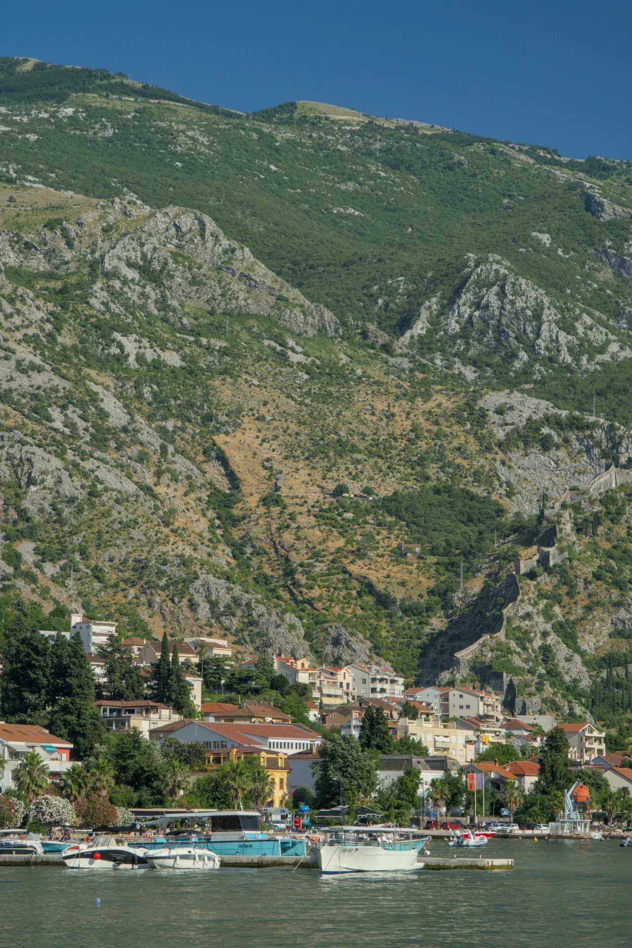 Vista pittoresca della costa di Cattaro, Montenegro, con una città ai piedi di una montagna e barche nell'acqua.