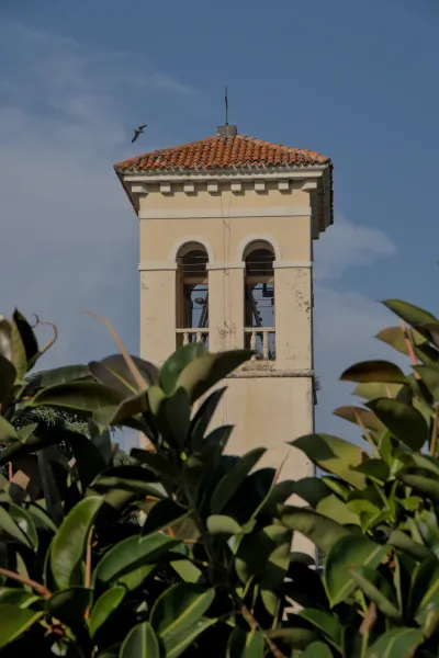 A Venetian bell tower rises behind lush green foliage, a bird flies across the blue sky.