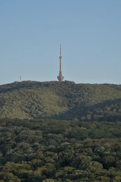 A telecommunication tower on the Fruska Gora hill rises above a dense forest in the warm light of the sunset.