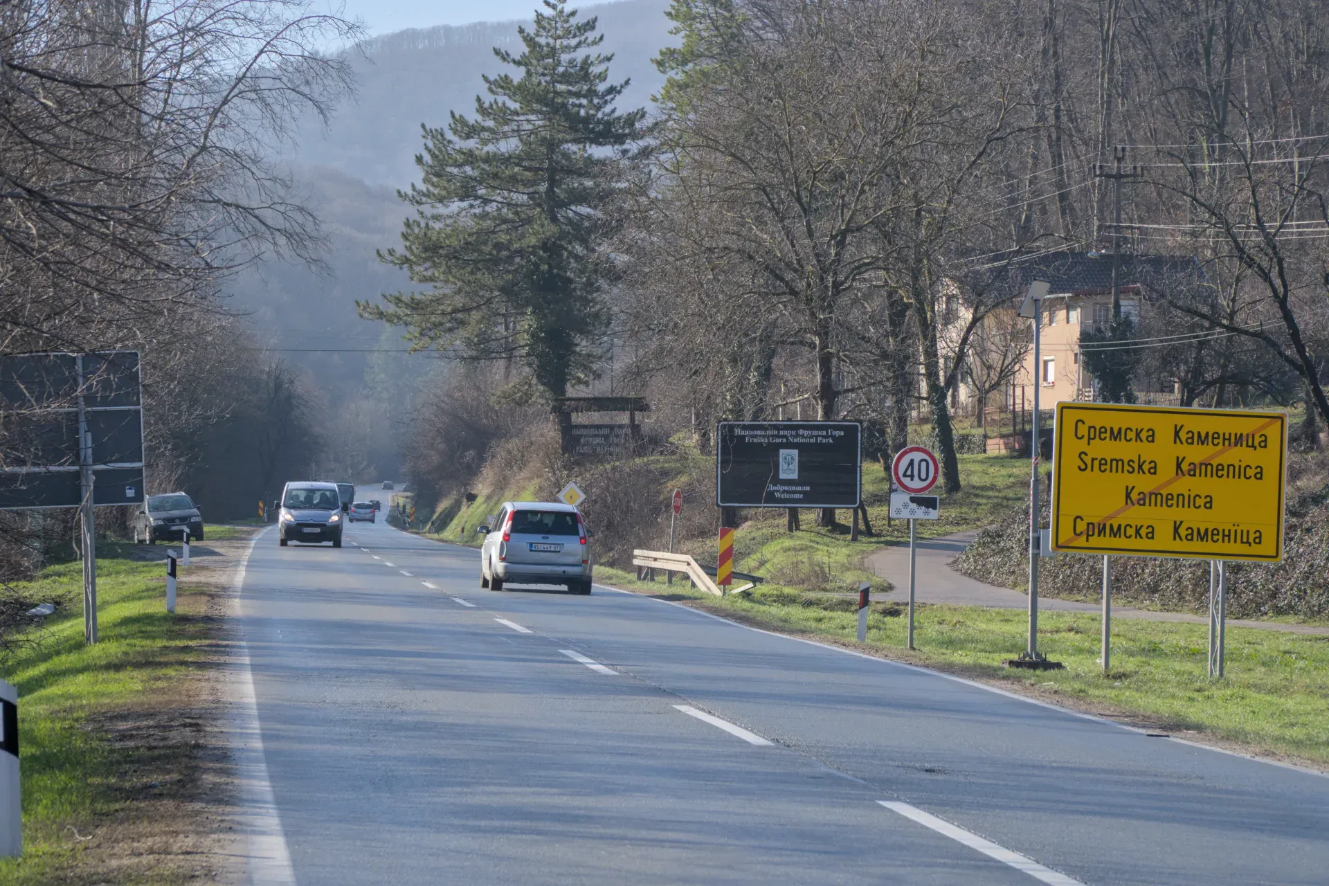The road from Sremska Kamenica to Iriški Venac in Fruška Gora, Serbia, with trees and passing cars.