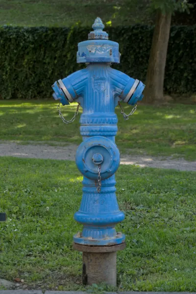 Ein verwitterter, königsblauer Hydrant steht in einem grünen Park, eingerahmt von einem Busch und einem Baum.