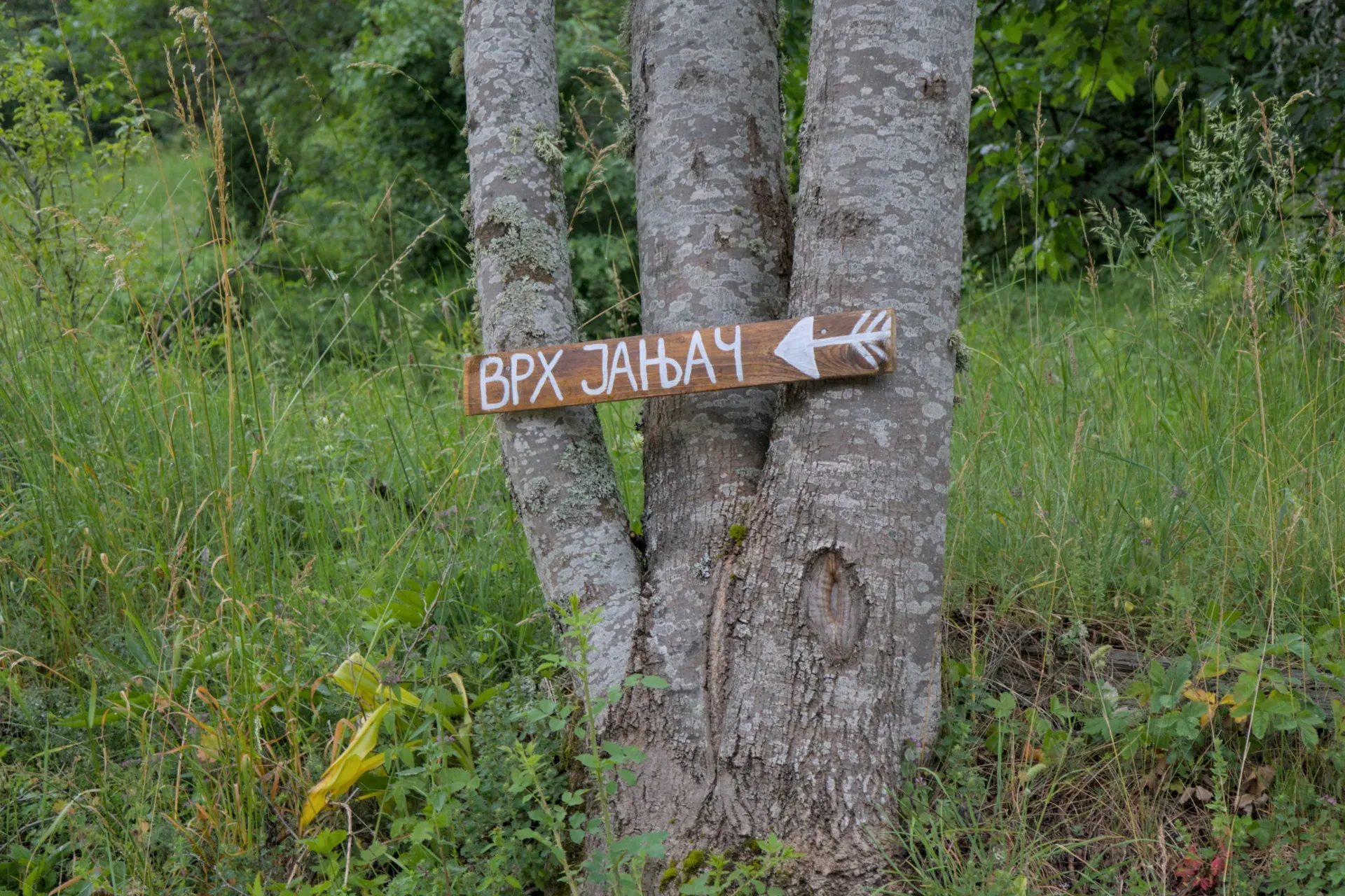Cartel de madera con una flecha blanca e inscripción en cirílico 'ВРХ ЈАЊАЧ' (Pico Janyač), sujeto a un tronco de árbol.
