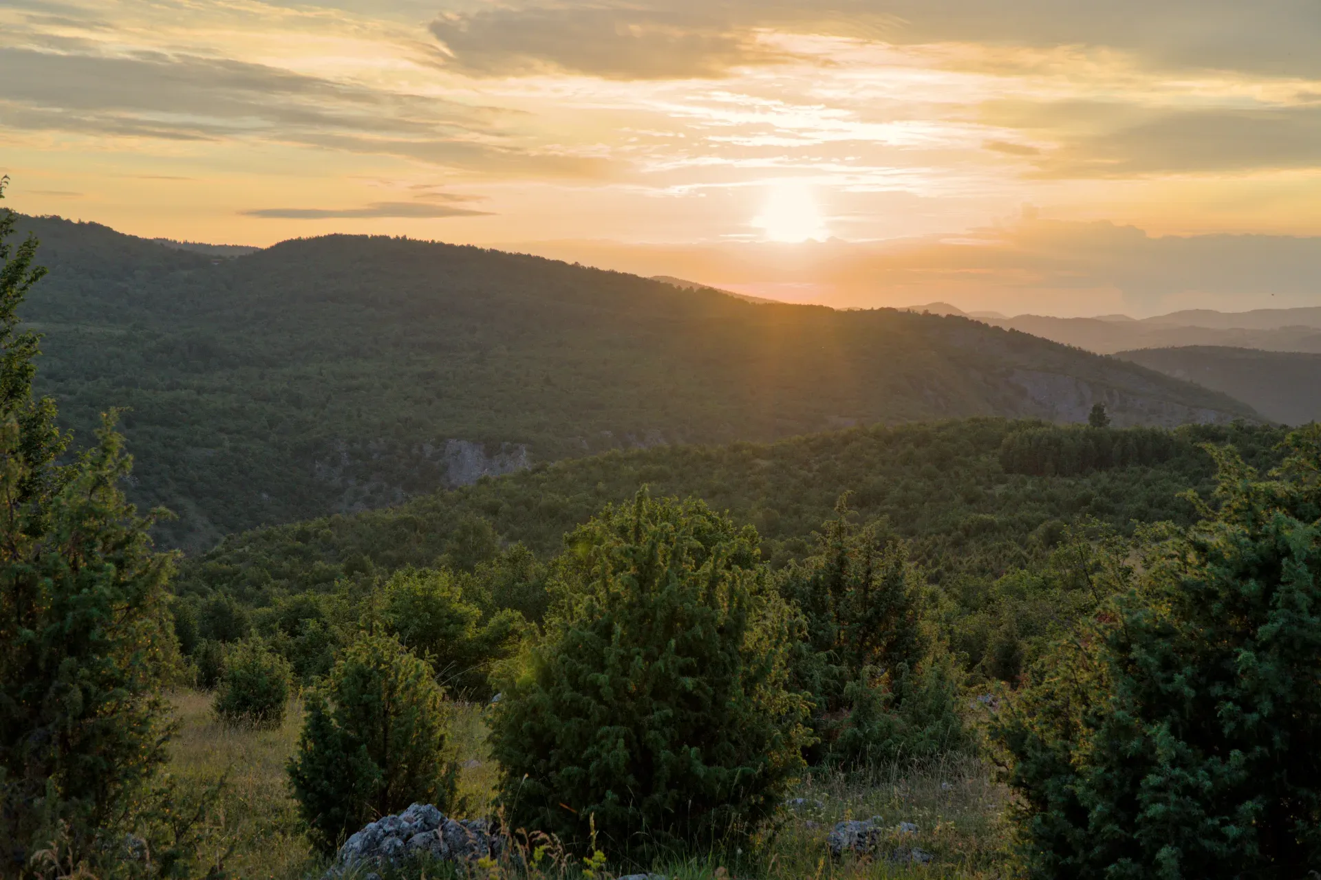 Panorama paesaggistico di Uvac, Serbia, con dolci colline e vegetazione lussureggiante, illuminato dalla calda luce del tramonto.