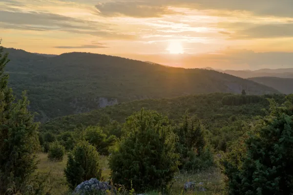 Landscape panorama of Uvac, Serbia, with gentle hills and lush vegetation, illuminated by the warm light of the sunset.
