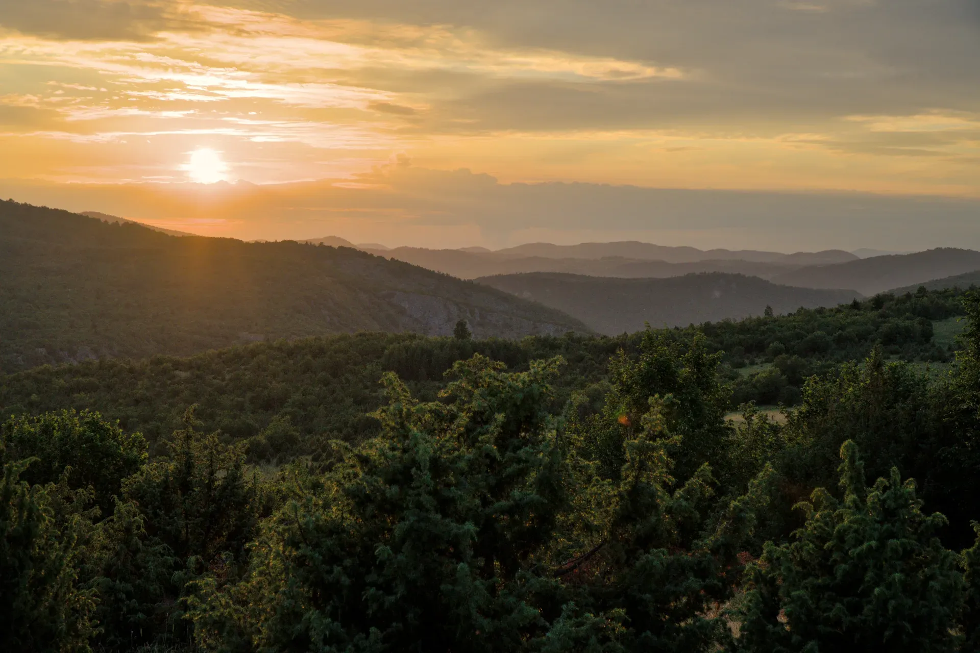 Fascinating view of the Uvac Gorge in Serbia at sunset, ideal as wall art.