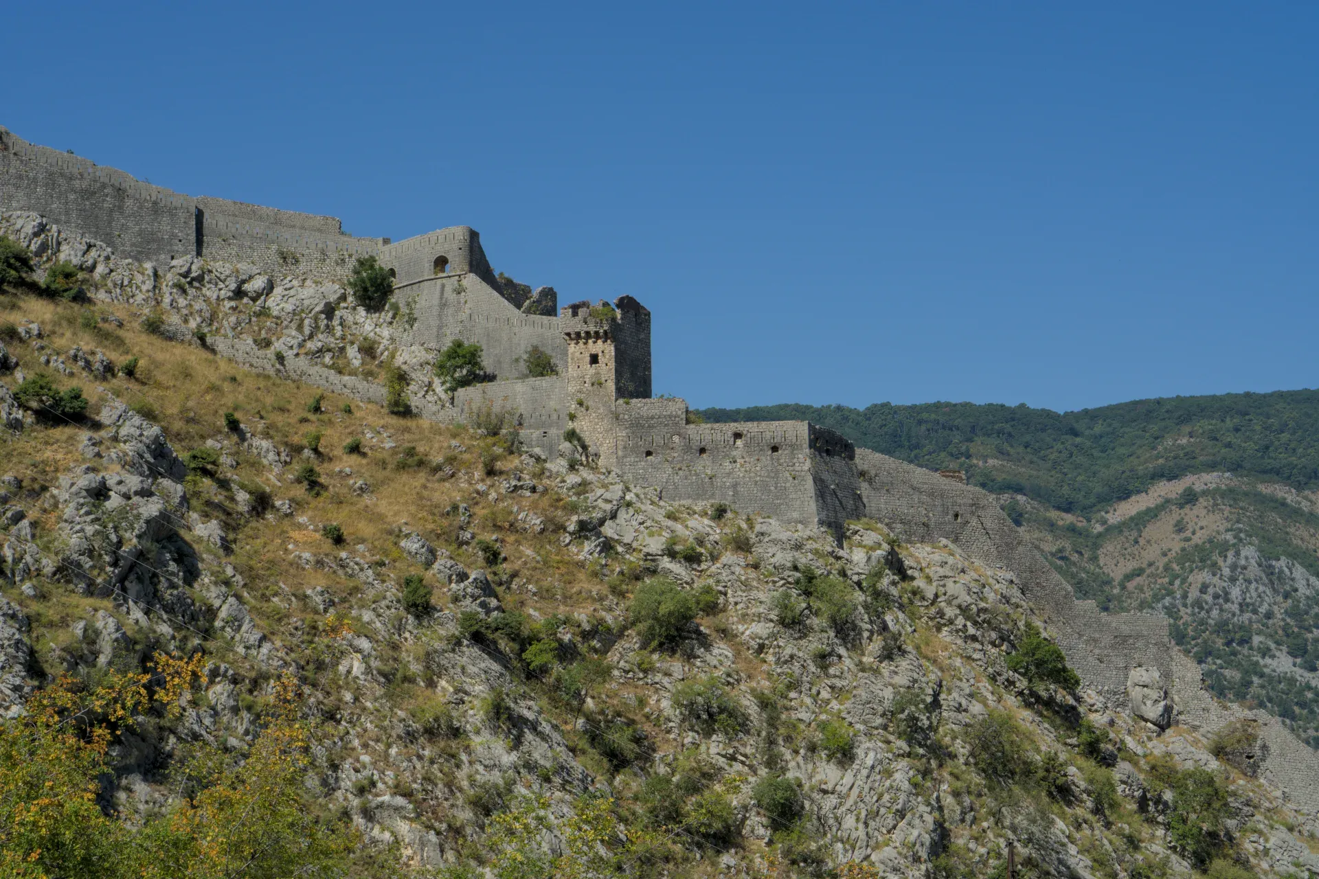 La storica Fortezza di Kotor, con le sue mura di pietra e torri, che sale un pendio roccioso sotto un cielo azzurro.
