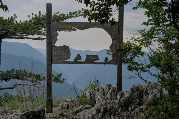 Wooden bear silhouette sculpture overlooking mountains in Tara National Park, Serbia, known as 'Bansska Stena'.