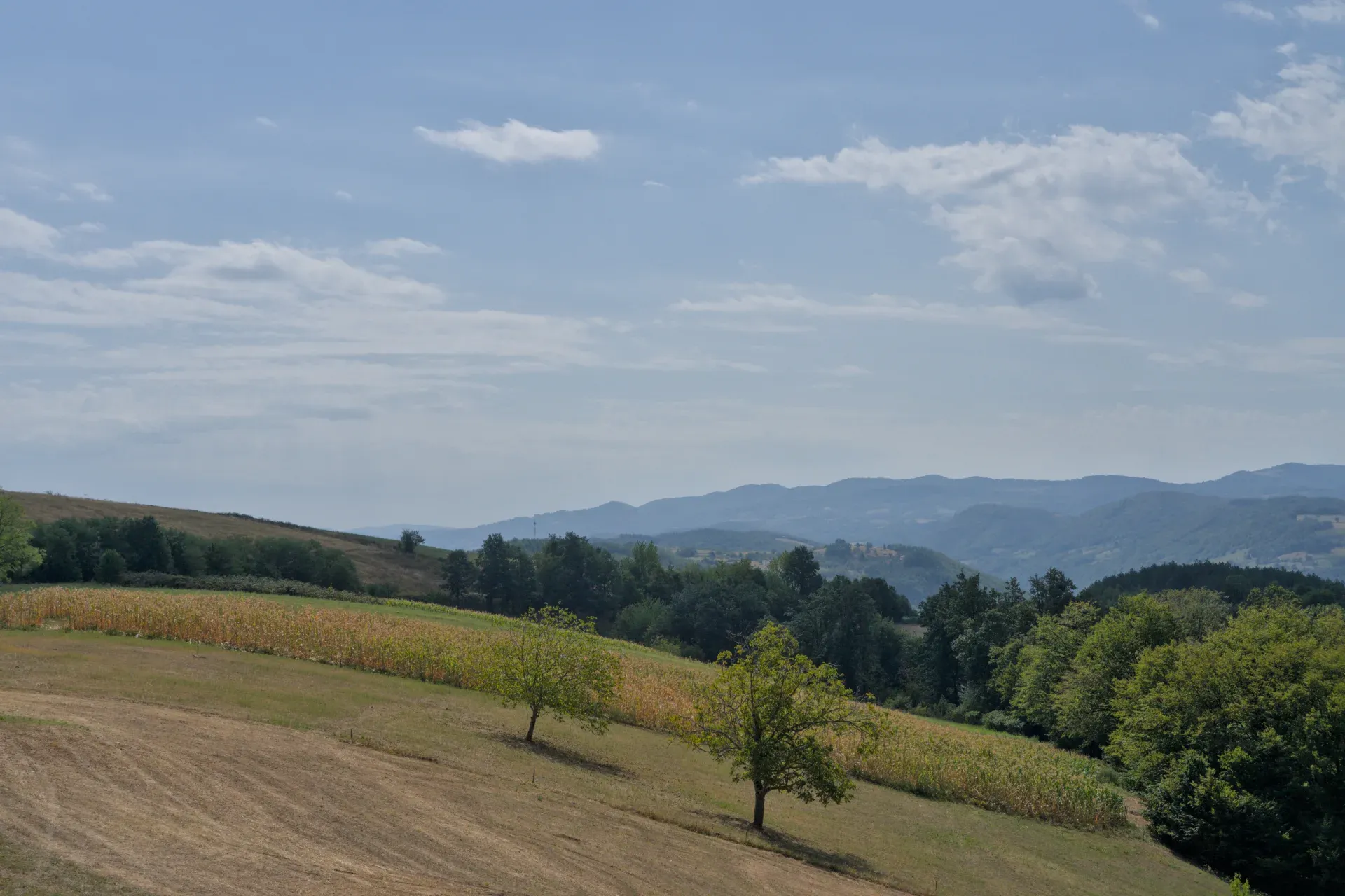 Paisaje serbio con montañas, colinas y prados en el camino al Parque Nacional de Tara.