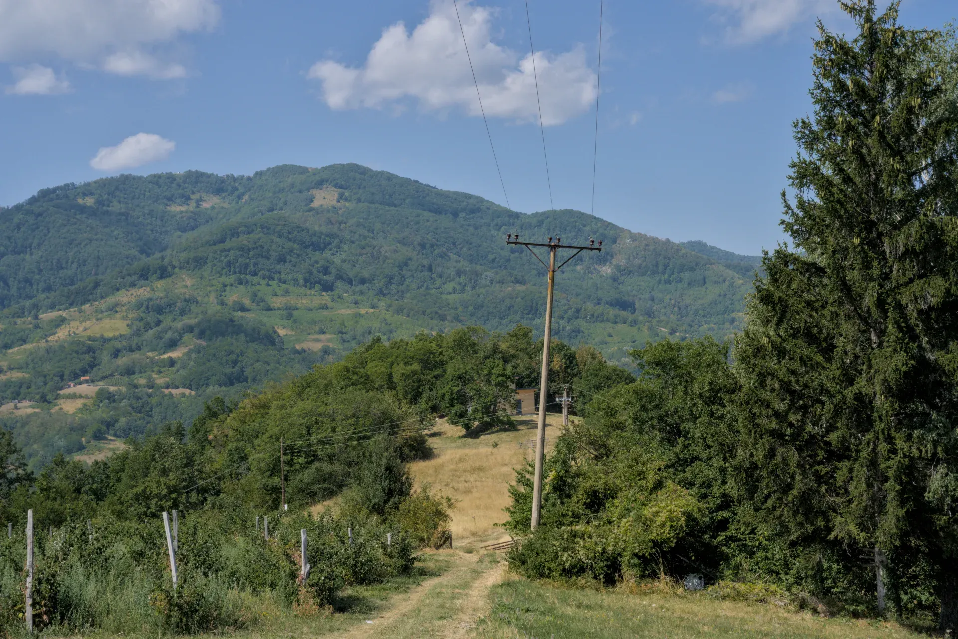 Mala kuća, ušuškana u hladovini drveća, nalazi se na proplanku sa pogledom na blage zelene brežuljke, snimljena na putu ka Nacionalnom parku Tara.