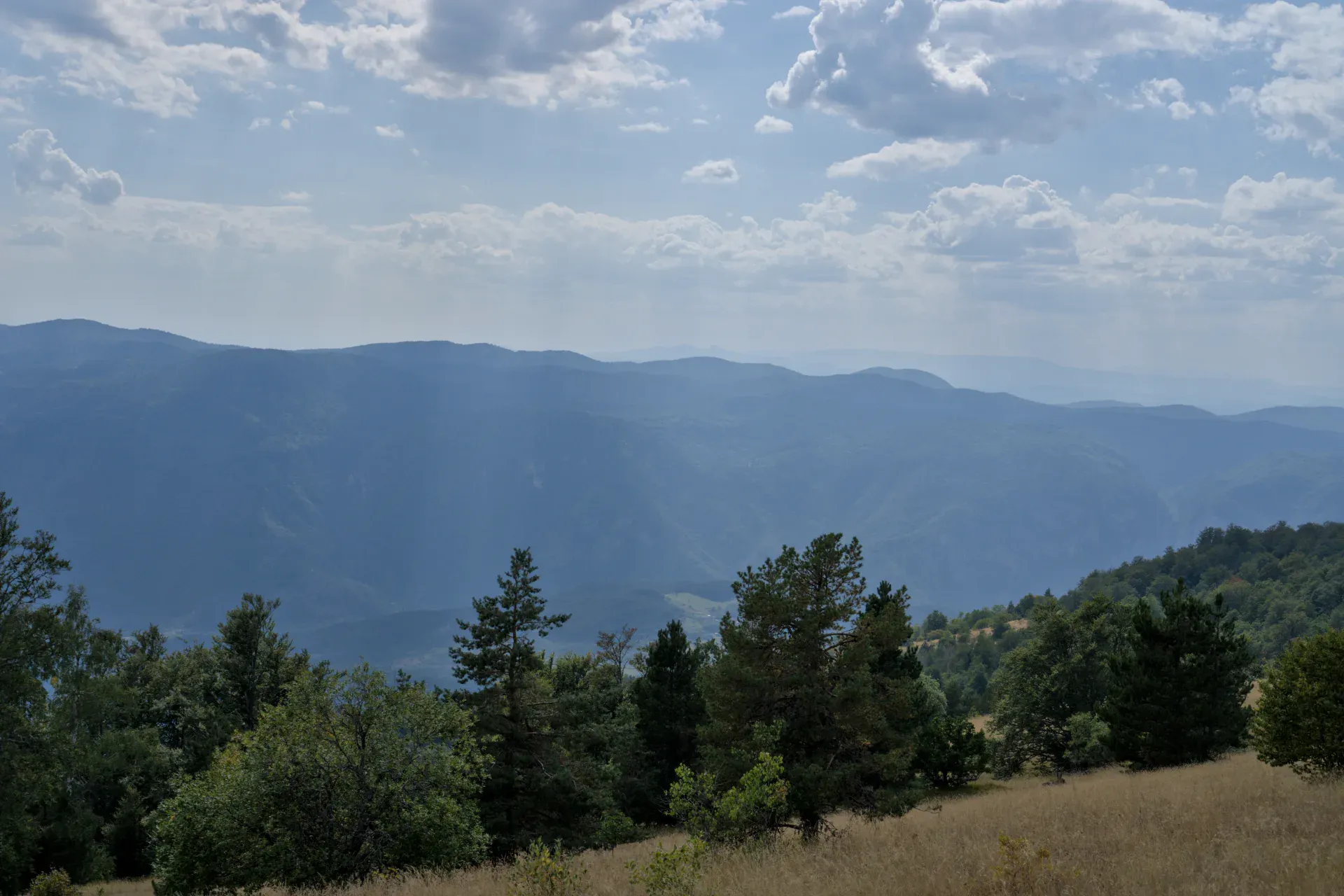 Vista delle montagne bosniache dalla cima di Yanach, con foreste lussureggianti e dolci colline in primo piano.