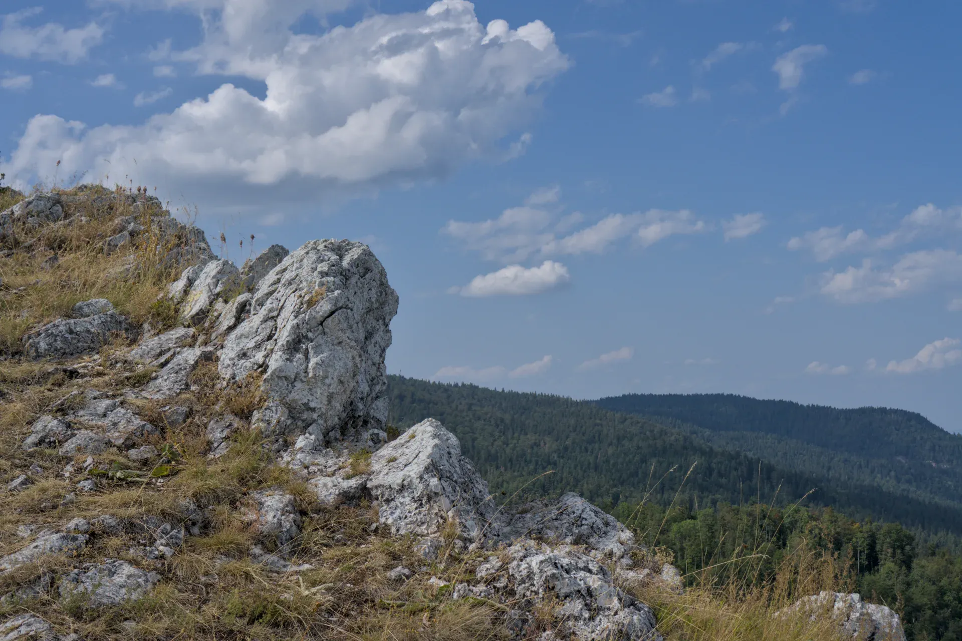 Planinski teren na vrhu Janj sa kamenitim prednjim planom i šumovitim brdima u daljini.