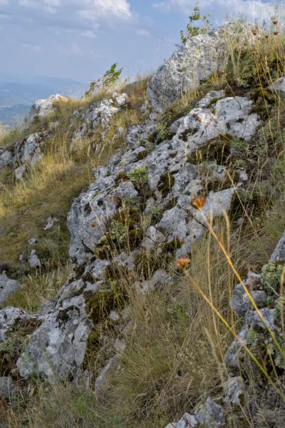 Mountain landscape at Janić Mountain, Serbia, a portrait shot of rocky terrain with dry grass and moss.