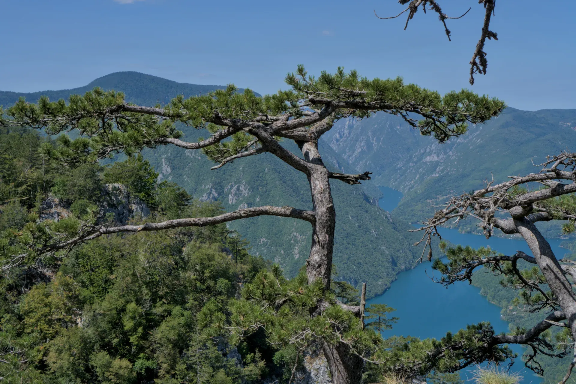 View from Banjska Stena viewpoint to Lake Perućac, framed by trees, in Serbia.