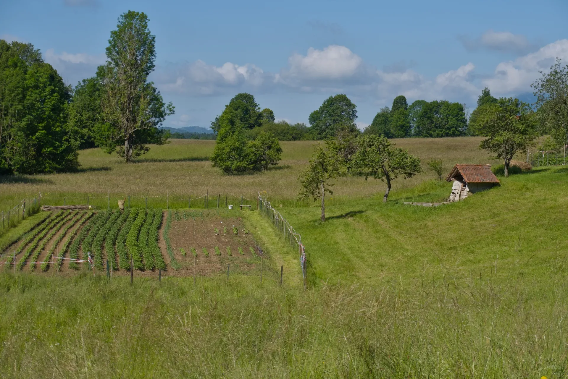 Rural scene with a vegetable garden and a stone building on the way to Predjama, Slovenia.