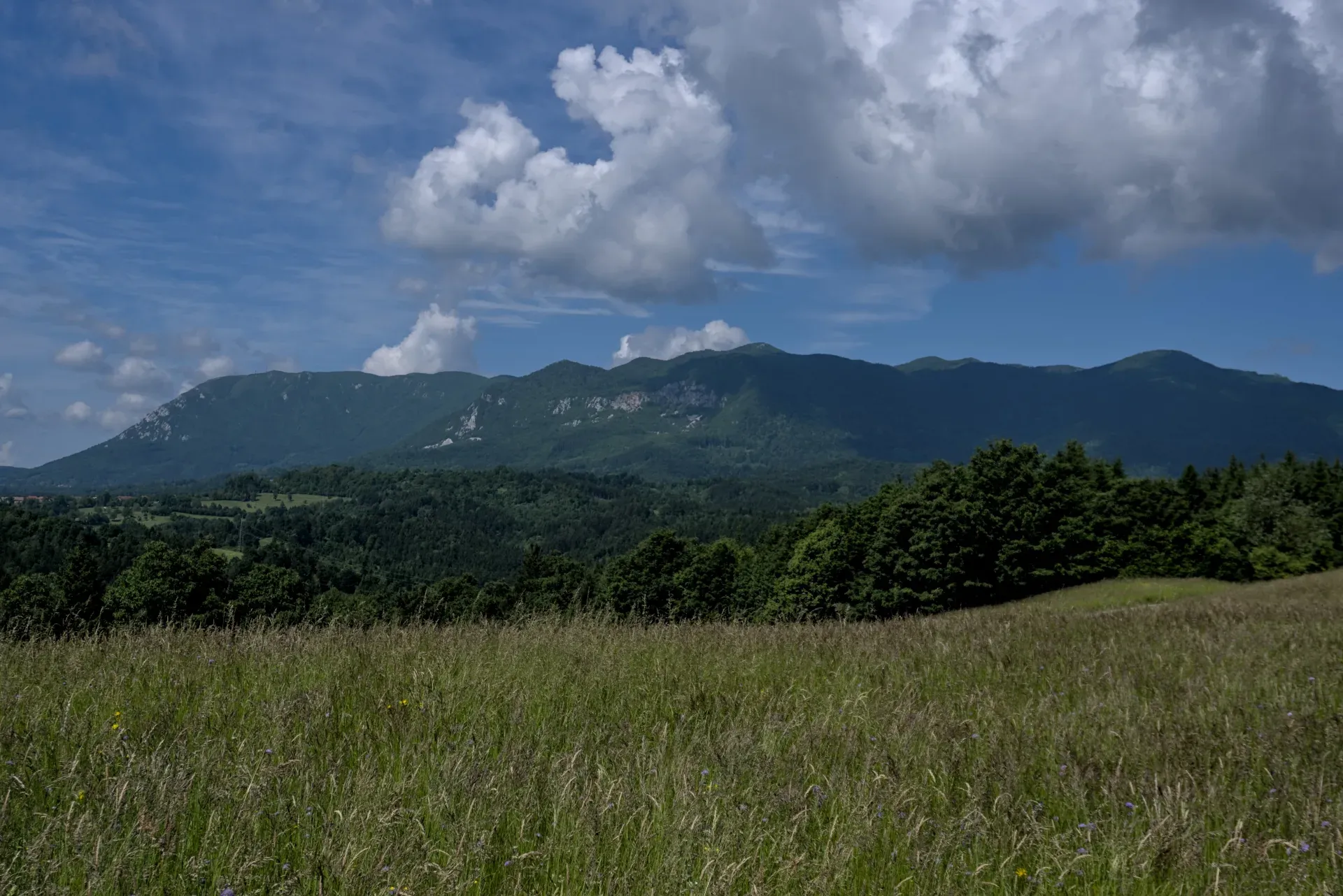 Weites Panorama mit blauen Bergen und grünen Wiesen in der Nähe von Postojna, Slowenien.