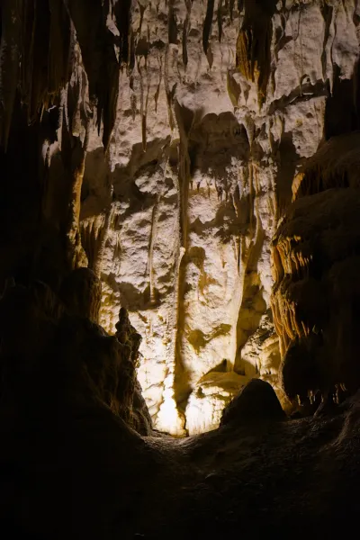 A dark, vertical shot of a cave chamber in Postojna, lit from below by warm light highlighting stalactites and stalagmites.