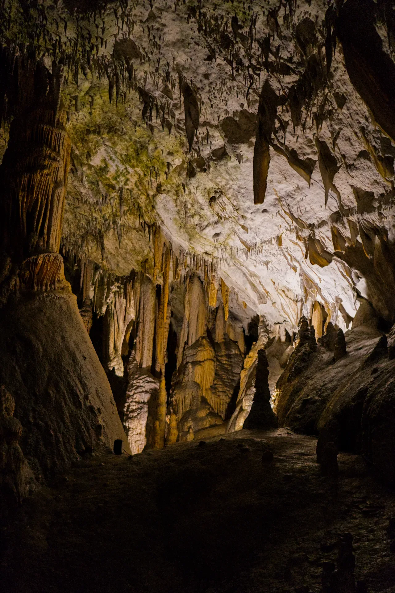 Intricate stalactites and stalagmites within Postojna Cave, a magical underground realm.