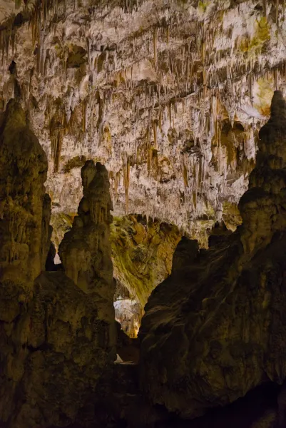 Stalactite formations within the Postojna Caves, Slovenia, showcasing the beauty of the underworld.