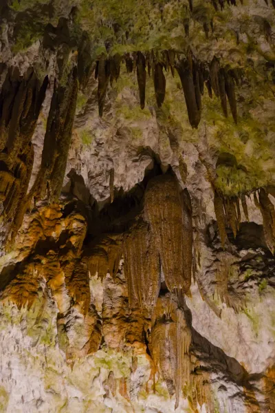 Stalactites and stalagmites in Postojna Cave, showcasing a fantastic underground world spectacle.