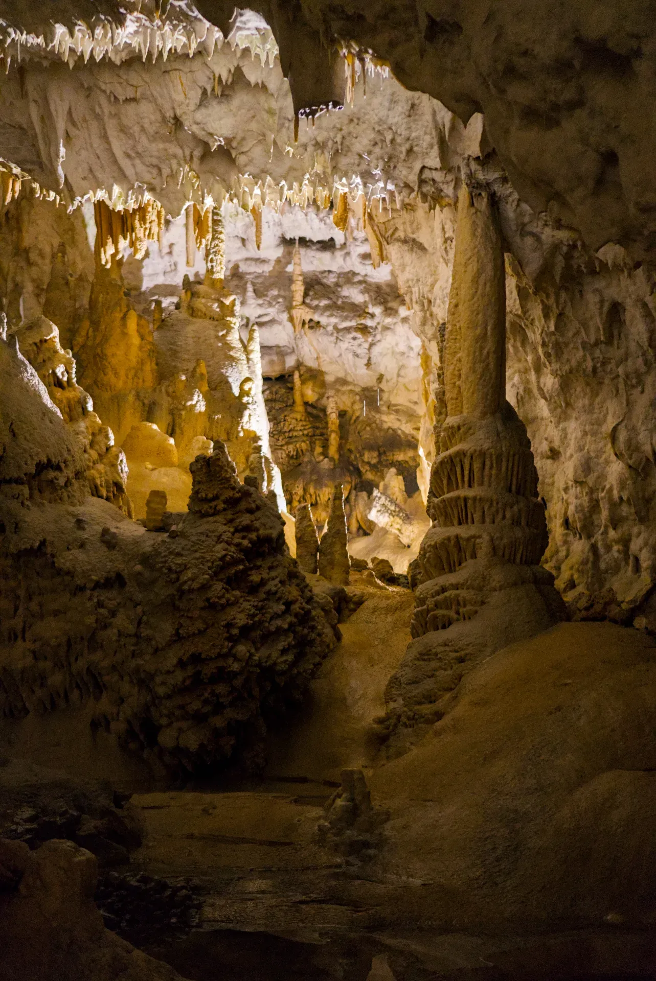 Otherworldly underground landscapes of Postojna Cave with stalactites and stalagmites in warm light.