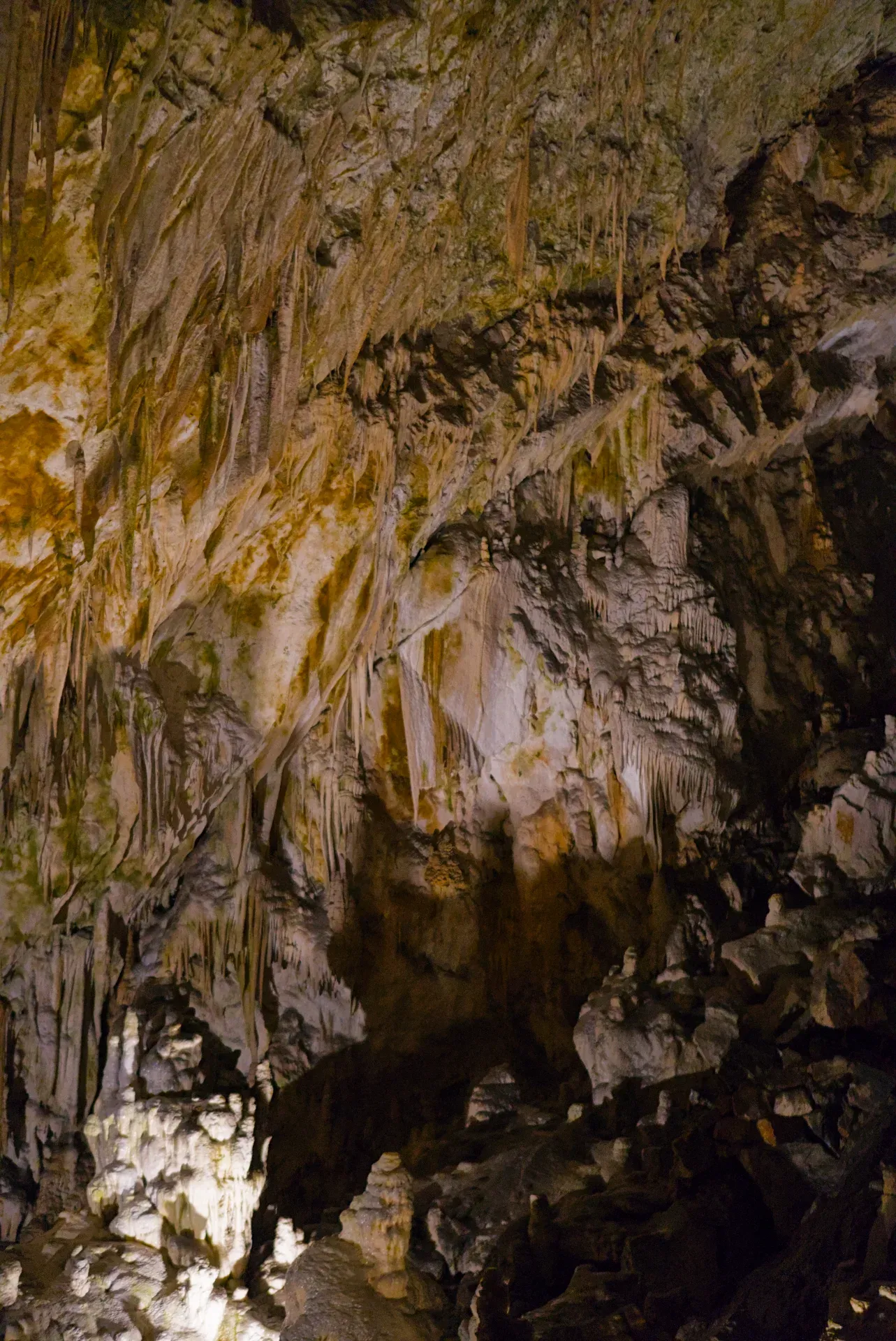 Postojna Cave in Slovenia, a magical underground world featuring stalactites and stalagmites.