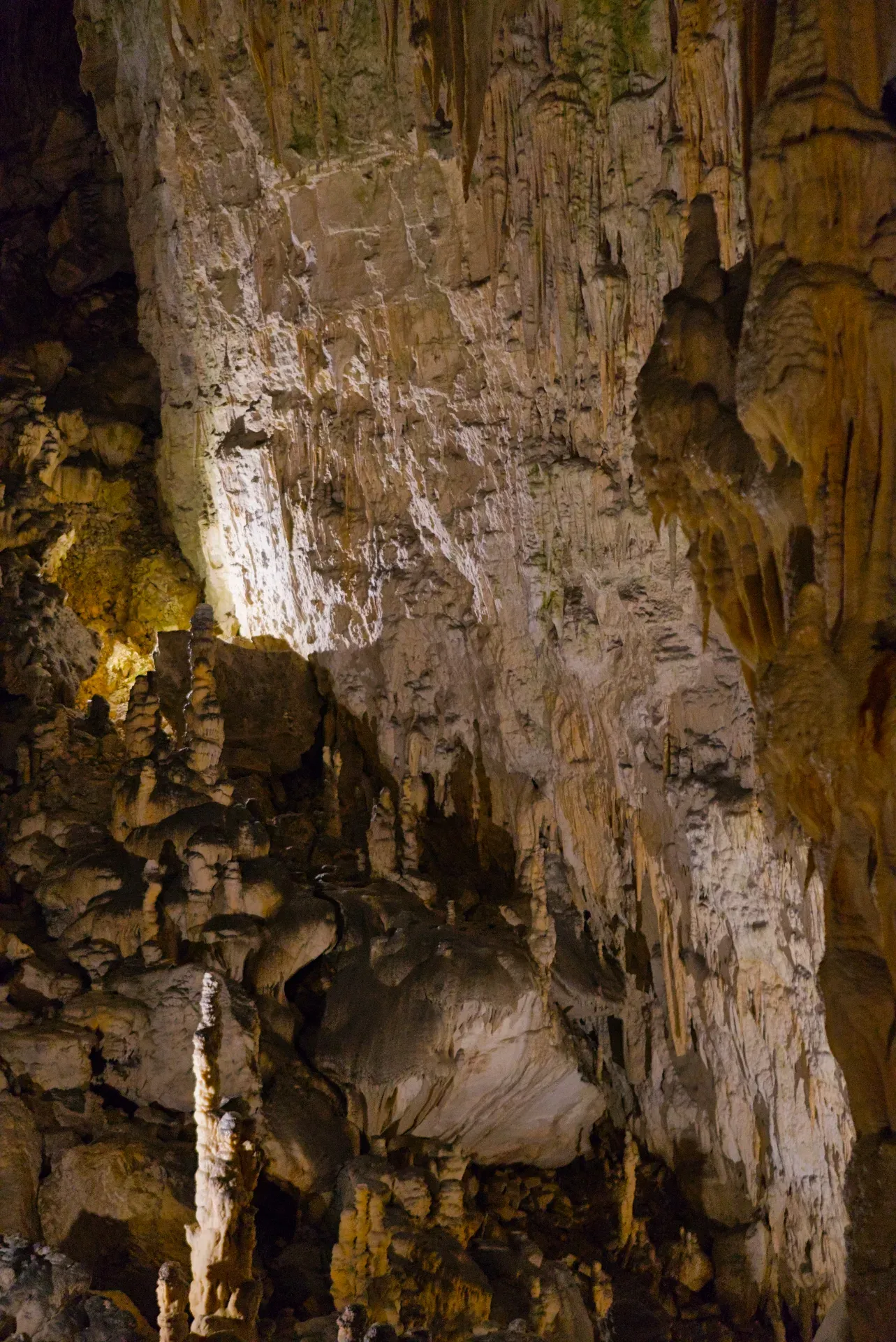 The underground world of Postojna Cave with stalactites and stalagmites.
