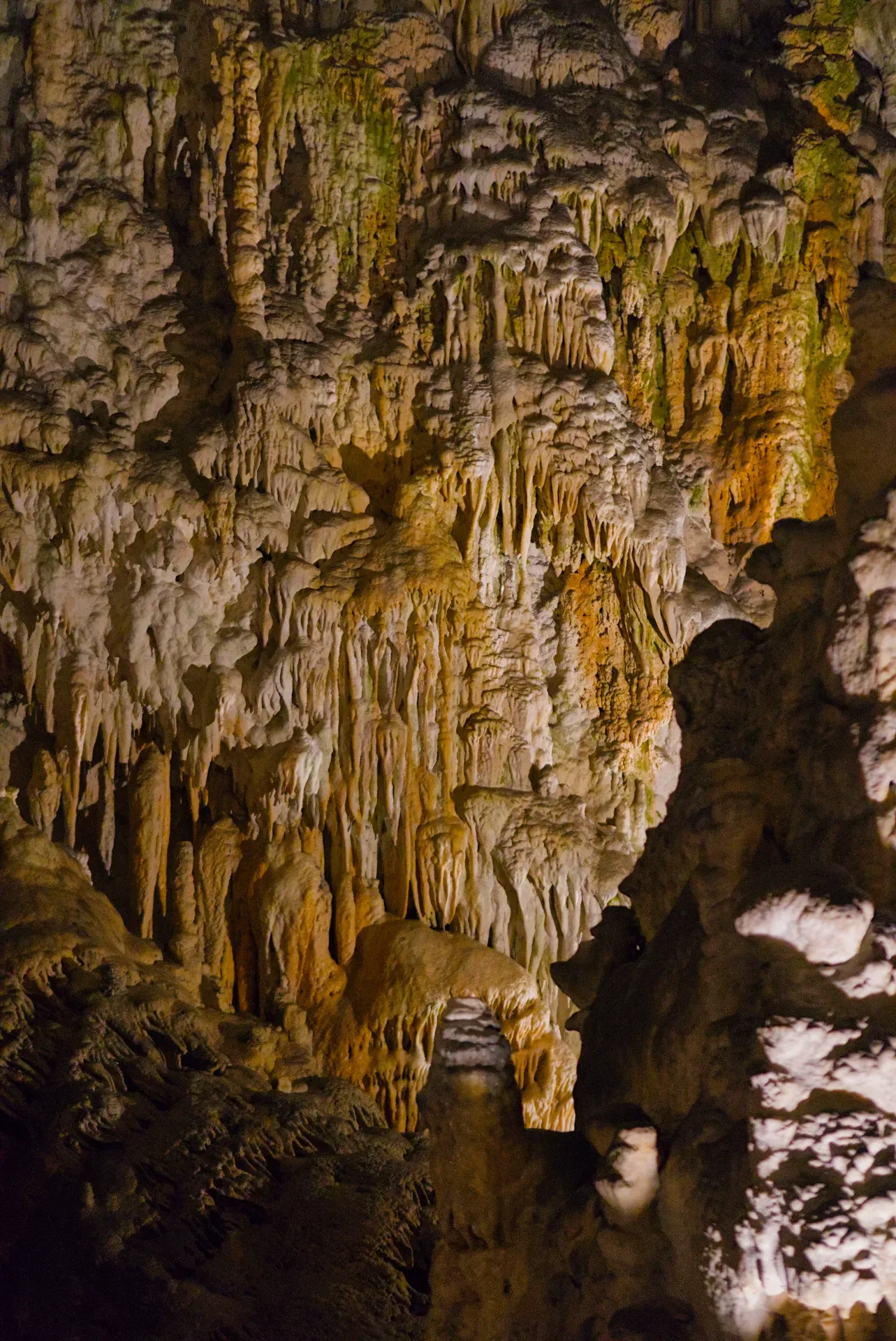 Stalactites and stalagmites in Postojna Cave, a testament to millennia of natural artistry.