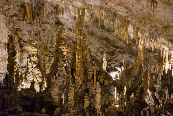 Impressive formations of stalactites and stalagmites within the Postojna Cave, Slovenia.
