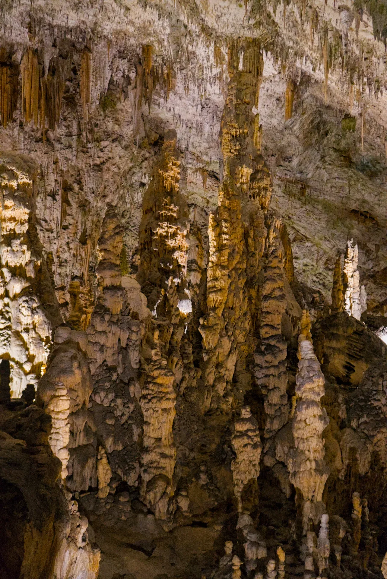 Detailed view of stalagmites and stalactites within the Postojna Cave, Slovenia.