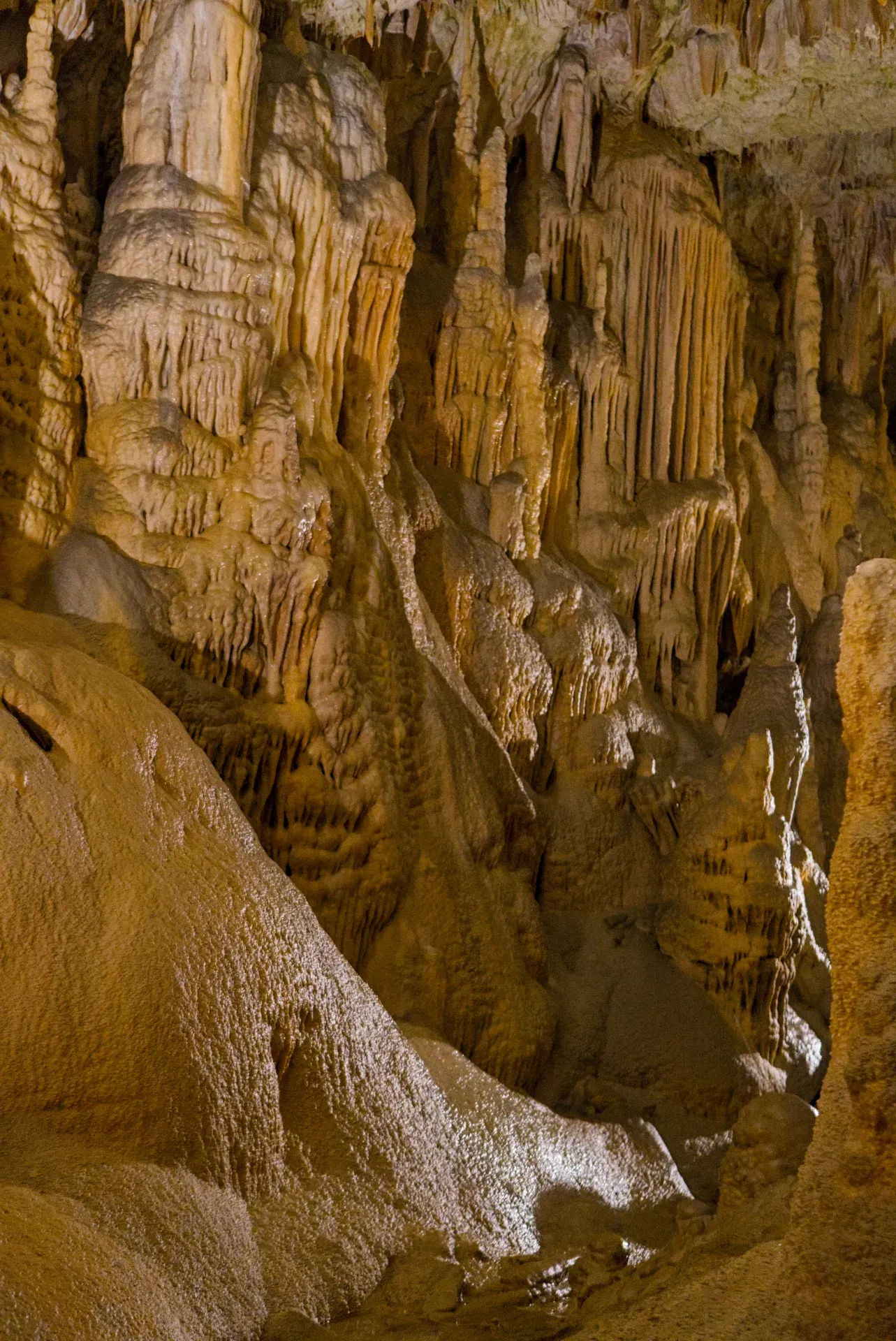 Intricate stalactite and stalagmite formations in Postojna Cave, Slovenia, showcasing golden and brown hues.