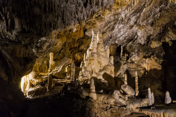 A majestic stalagmite formation within the Postojna Caves, dramatically lit and rich in texture.