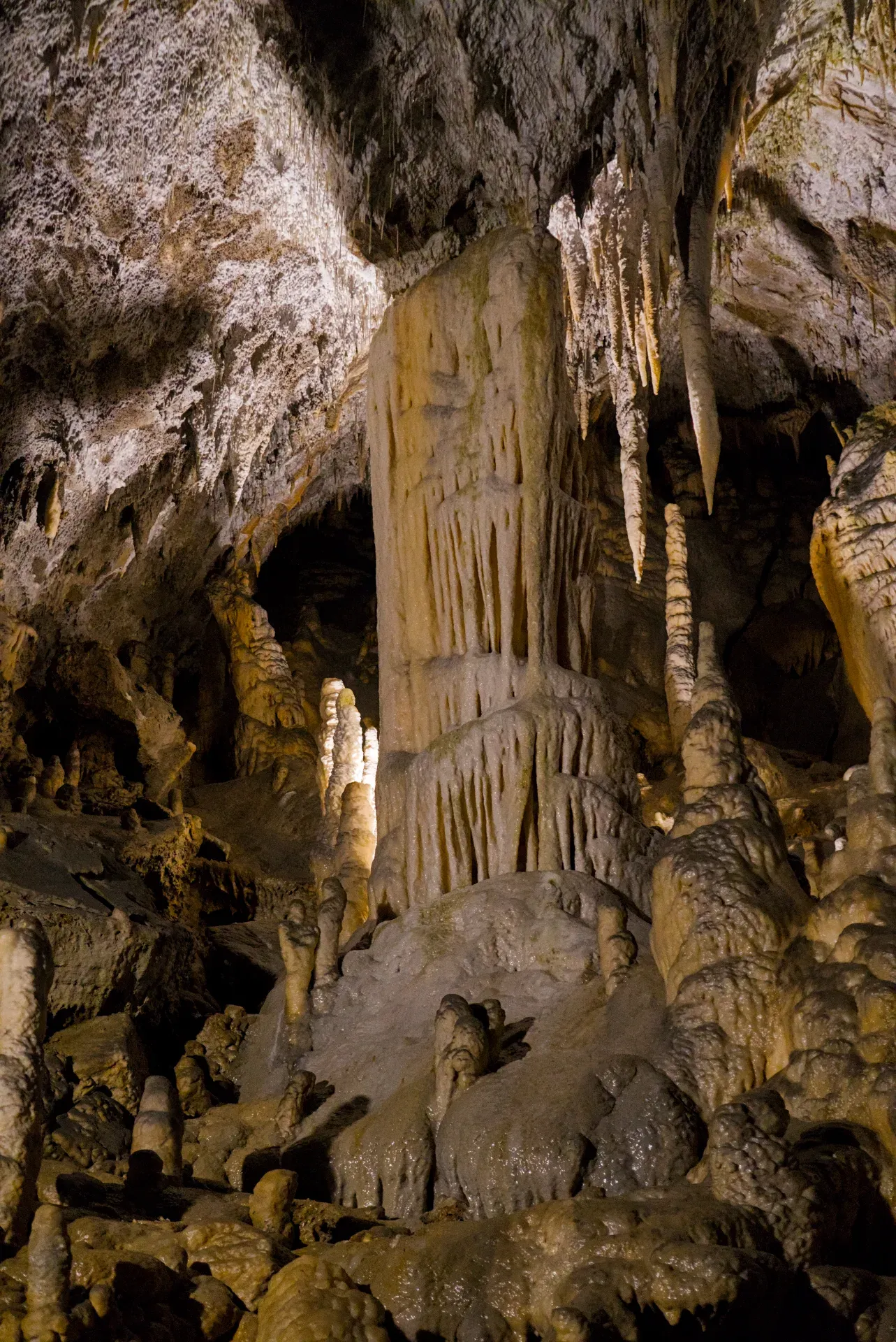 Captivating stalactites and stalagmites in Postojna Cave (Postojnska jama) create a natural artistic landscape.
