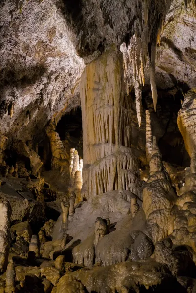 Captivating stalactites and stalagmites in Postojna Cave (Postojnska jama) create a natural artistic landscape.