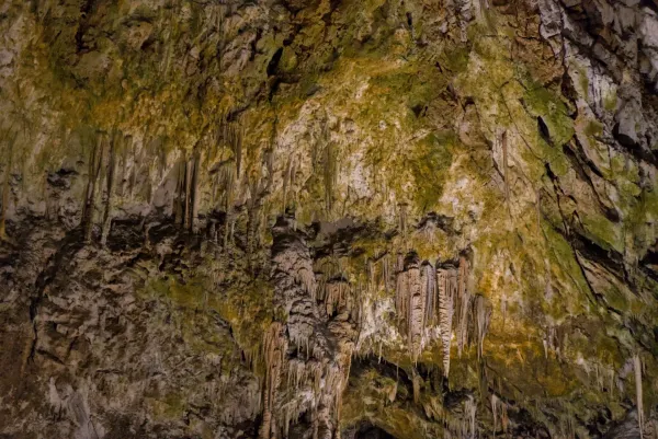 Cave ceiling texture with hanging stalactites and mineral deposits in green and brown hues.