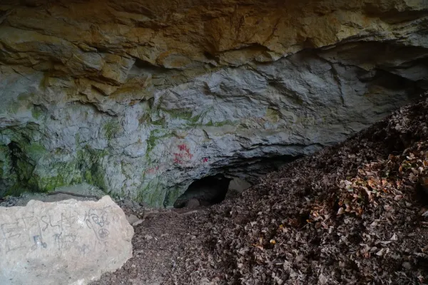The 'пещера около монастыря Старо Хопово', a cave near Novi Sad, Serbia, featuring moss-covered rock faces and fallen leaves.