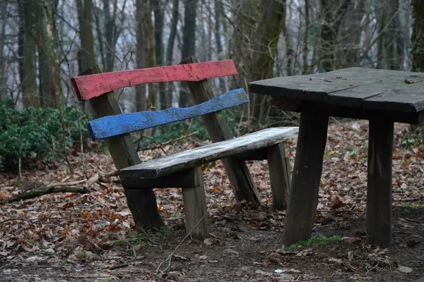 A rustic wooden bench with red and blue stripes representing the Serbian flag, positioned in a forest setting.