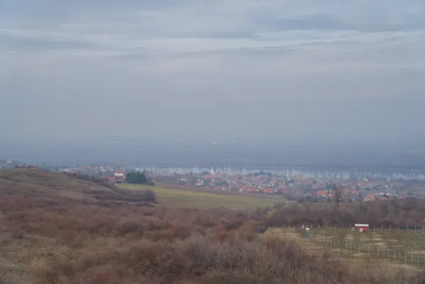 Misty February morning over the Danube near Čerević, Novi Sad, Serbia with village view.